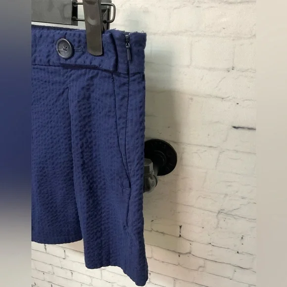 Banana Republic Womens Seersucker Maritime Blue Stretch Chino Shorts Size 2 - Picture 3 of 6